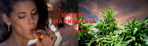 стафф Зеленодольск