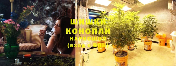 бошки Медногорск
