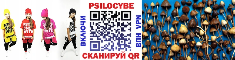 мега вход  Ильский  Псилоцибиновые грибы прущие грибы  сколько стоит 